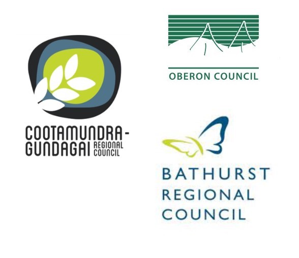 Council Assets Included