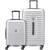 DELSEY Paris 2-Piece Luggage Set, Silver, Large: 73cm, Small: 55cm. NB: Has