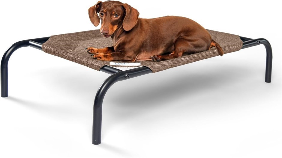 COOLAROO Original Elevated Dog Bed, Nutmeg, Small.