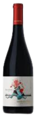 Terre Dei Miti Etna Rosso 2021 (12x 750m