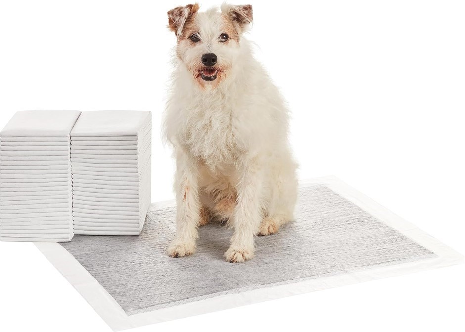 Pack of 50 x AMAZON BASICS Carbon Odour-Control Dog and Puppy Training Pads