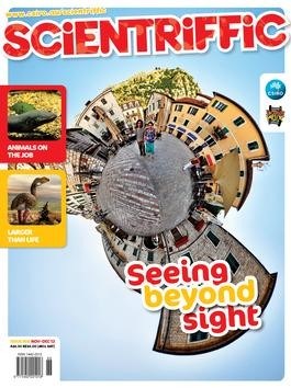 Scientriffic - 12 Month Subscription