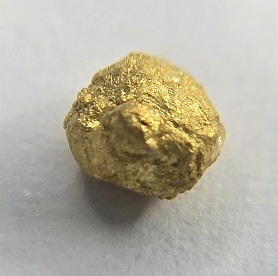 No Reserve Bathurst Gold Miners Hoard Of Nuggets And Gold