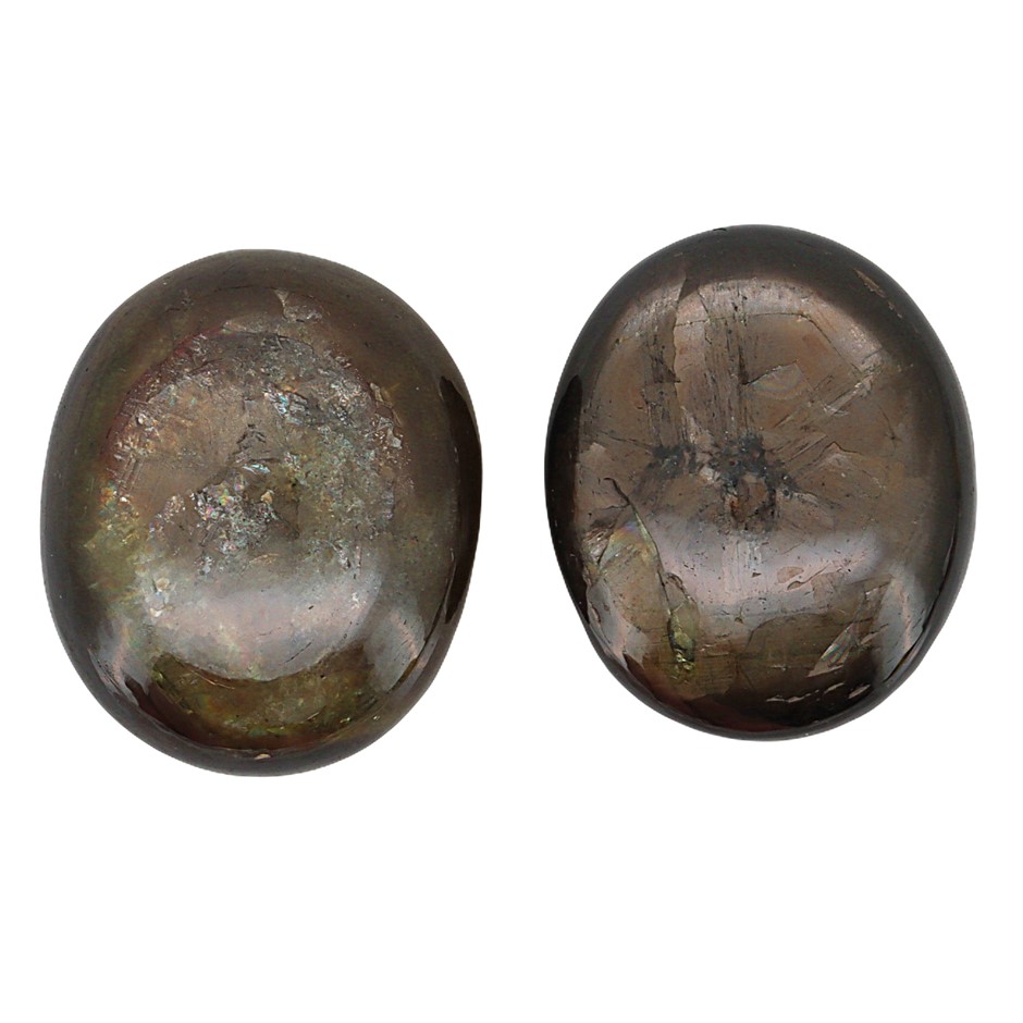 8.88 Carats Natural Black-Gold Star Sapphire