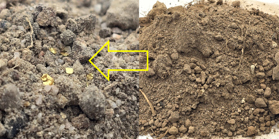 No Reserve Australian Gold Miners Unpanned Gold Paydirt