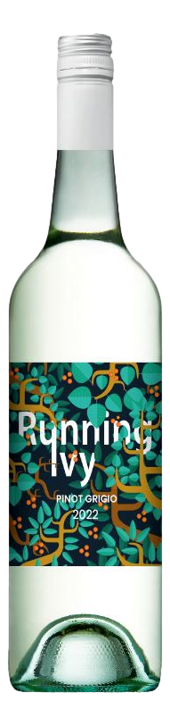 Running Ivy Pinot Grigio 2024 (12x 750mL)