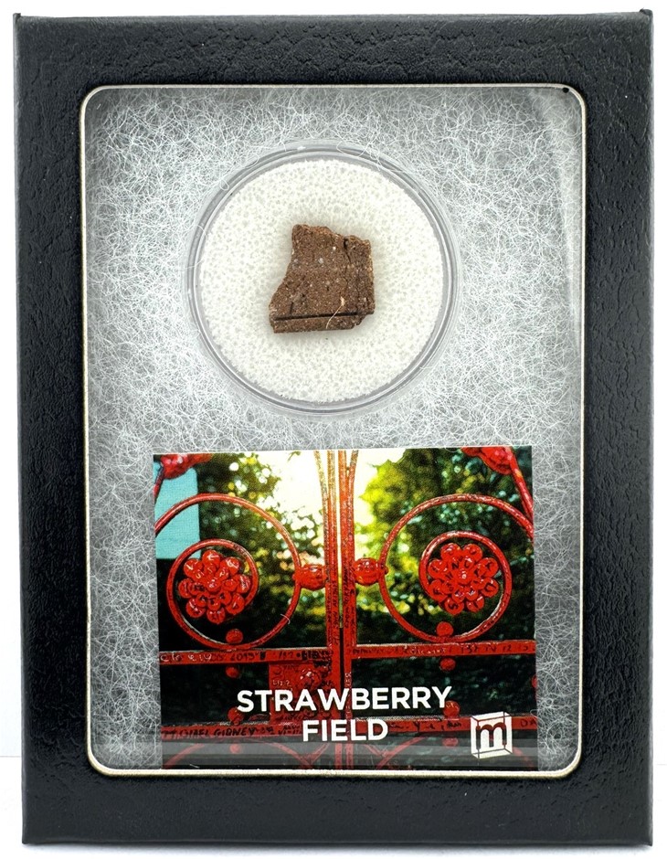 No Reserve Beatles Strawberry Fields Forever - Strawberry