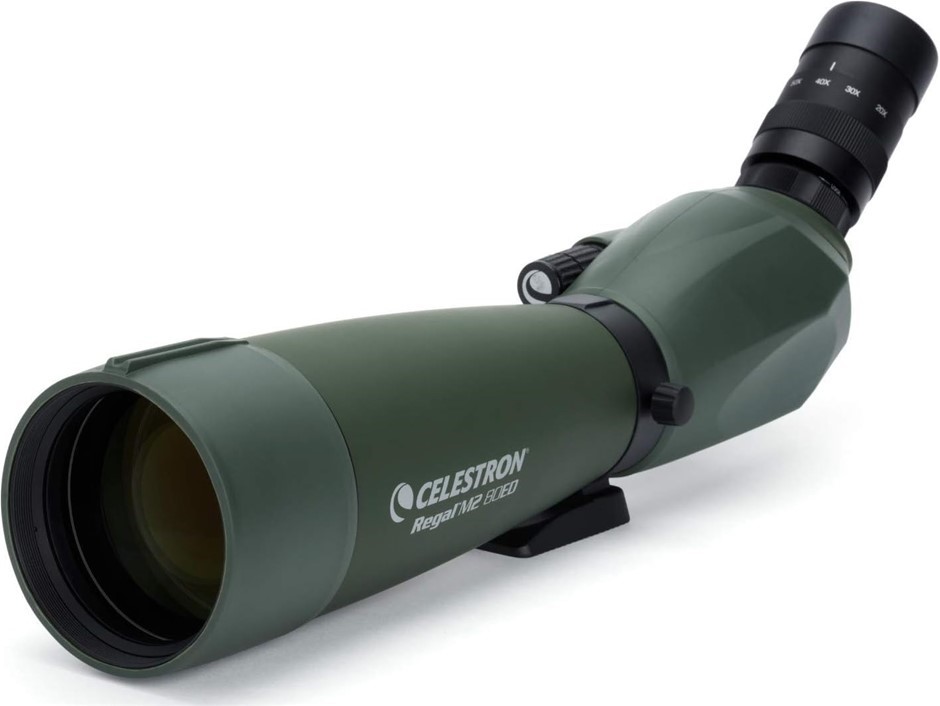 CELESTRON Regal M2 20-60x80mm ED Angled Zoom Spotting Scope  Buyers Note -