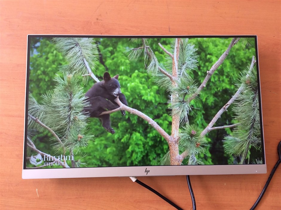 Monitor Auction - VIC 