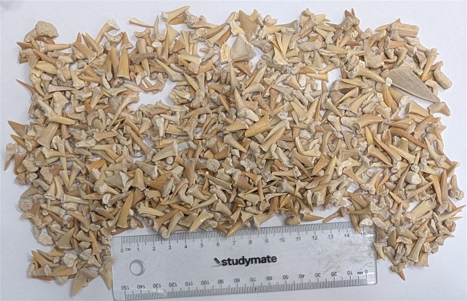 Gemstones, Crystals and Coins