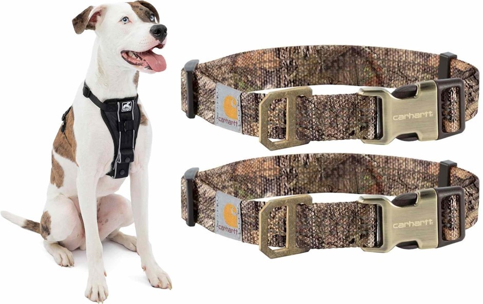 DOG Accessory Bundle: Kurgo Tru-Fit No Pull Harness with Seatbelt Tether &