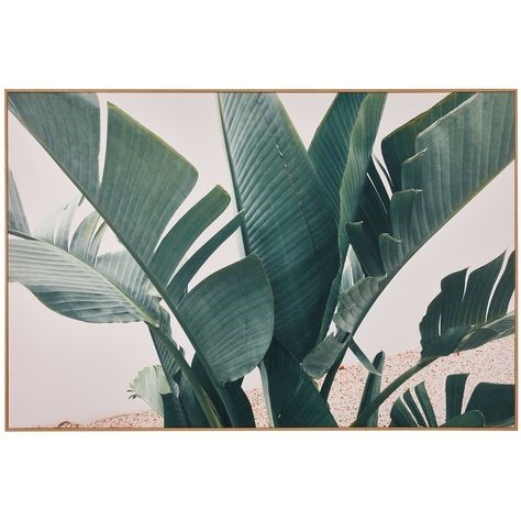 TEMPLE & WEBSTER Tropical Leaf Blush Framed Canvas (80cm H x 120cm W x 2cm