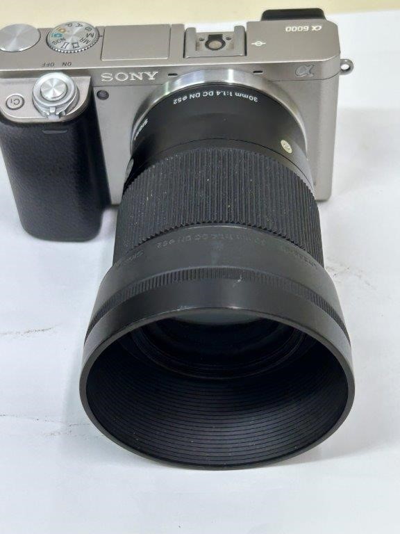 SONY Alpha 6000 (ILCE-6000) mirrorless camera with SIGMA 30mm lens