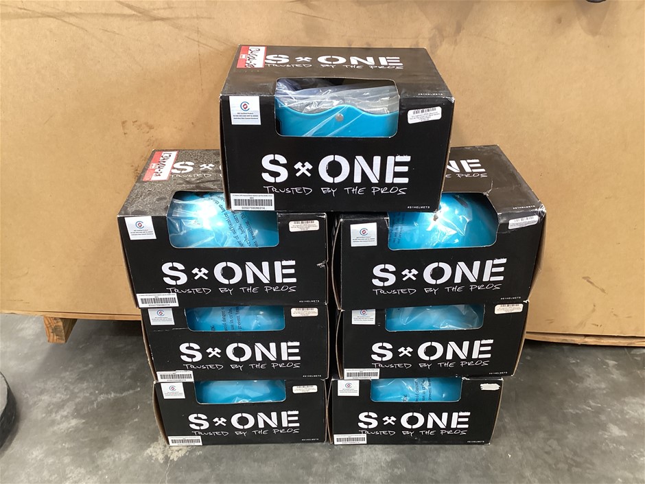 Medium Raymond Warner S1 Lifer Helmet x 7