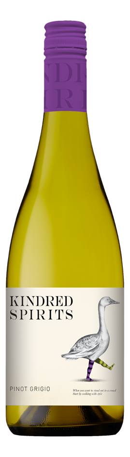 Kindred Spirits Pinot Grigio 2023 (12x 750mL) SA
