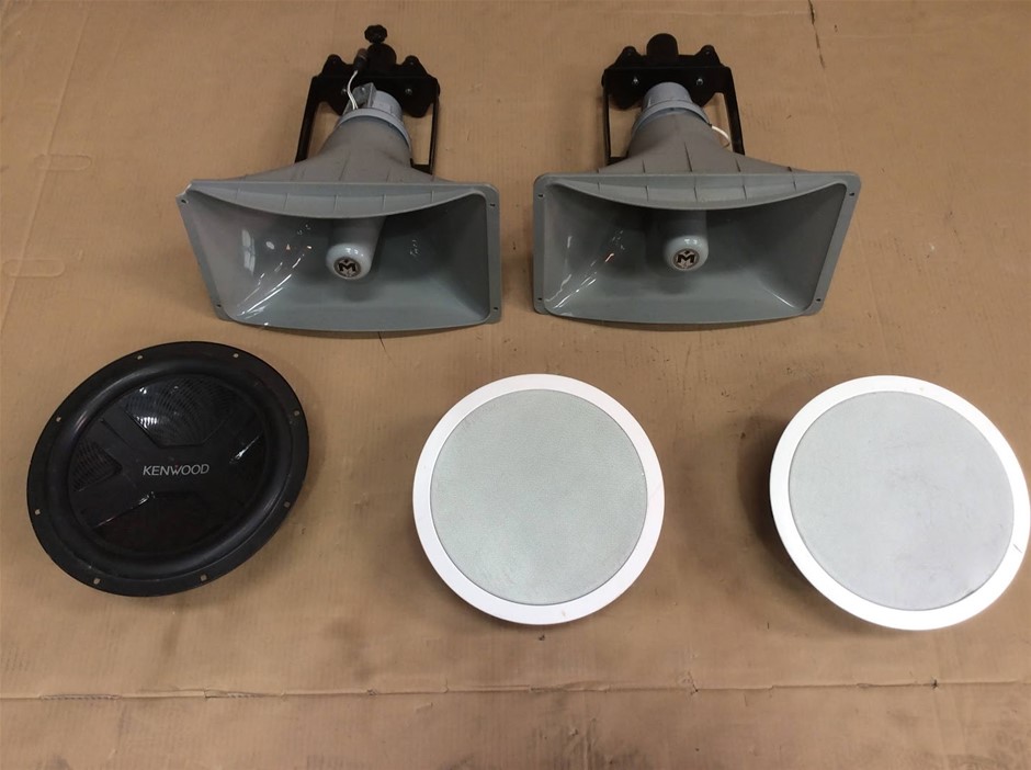 Australian Monitor XD-30TX Horn Speaker + Selby Acoustics XD-8204 8-Inch