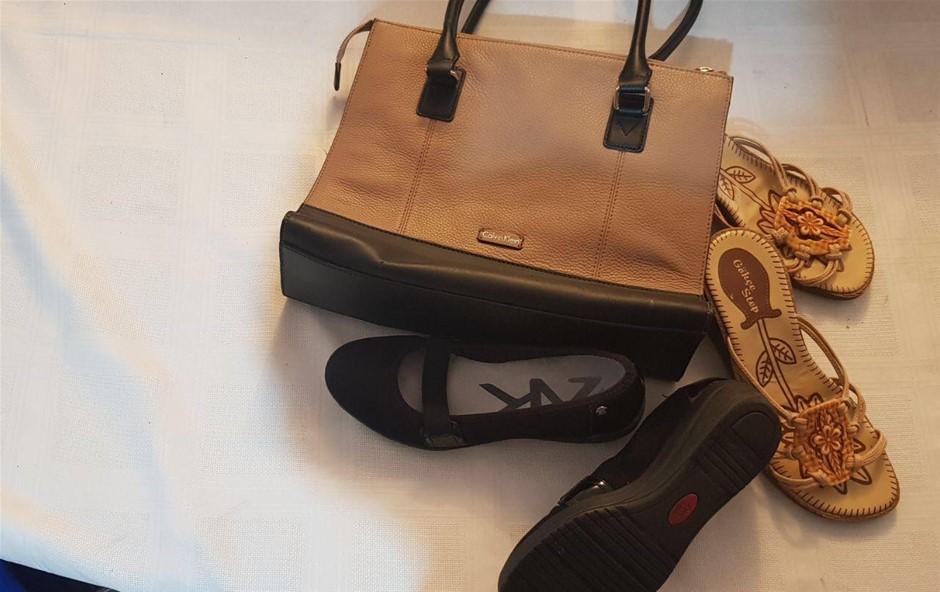 Bag and Foot ware Minor Use.