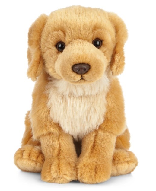 Living Nature Soft Toy - Plush Pet Animal, Golden Retriever Dog (20cm)- Rea