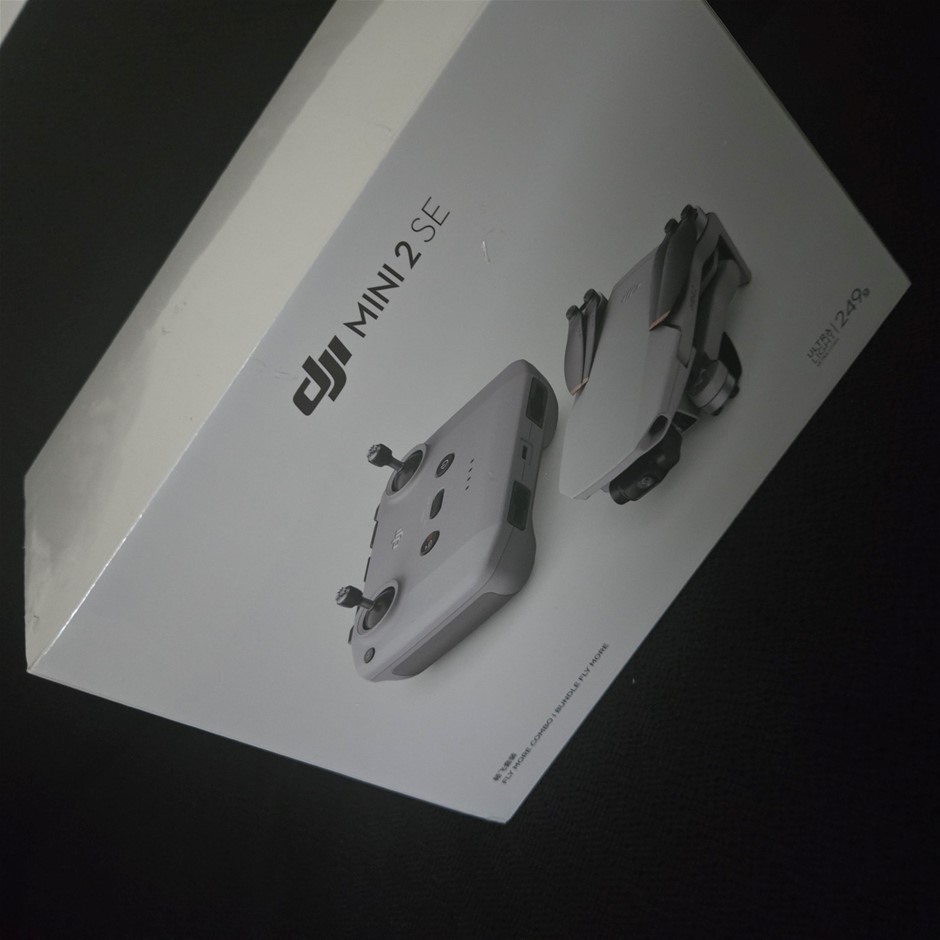 DJI Mini 2 SE Camera Drone (Fly More Combo)
