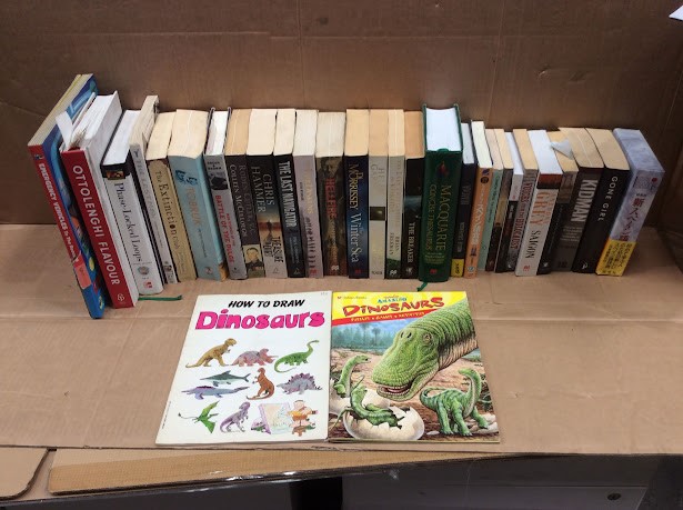 Mix Category Books (Lot of 30)