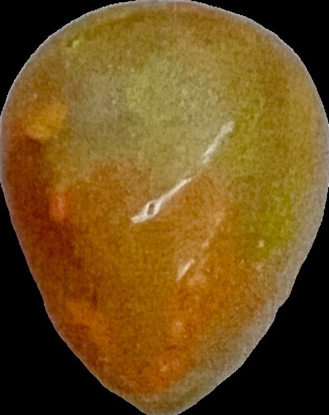14.88 carat One pear shape Ethiopian opal Cabochan $2604 Valuation