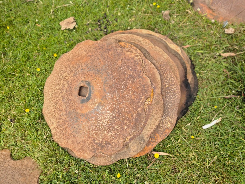 550mm Scalloped Discs