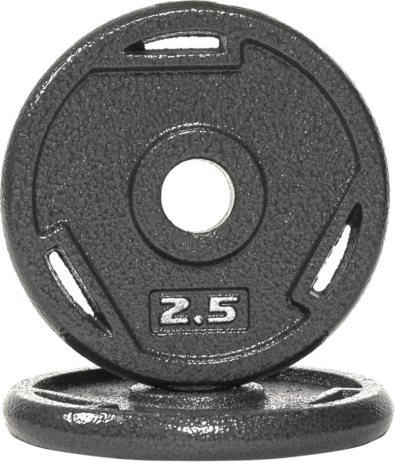 2 x Assorted Cast Iron 1-Inch Plate Weight Plate for Strength Training, YES