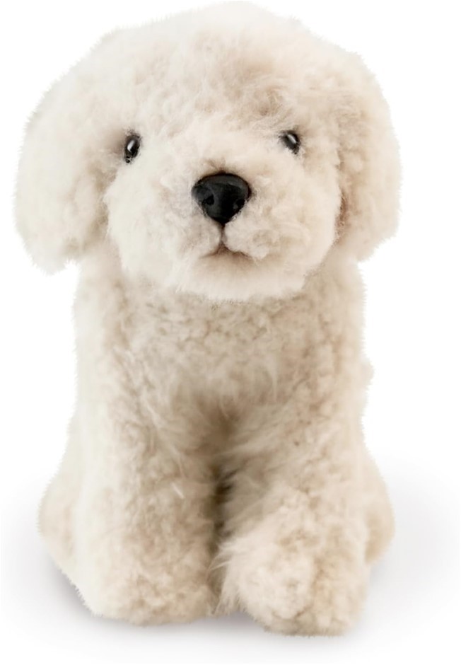 LIVING NATURE Educational Labradoodle Plush Toy, 20cm, Realistic and Cuddly