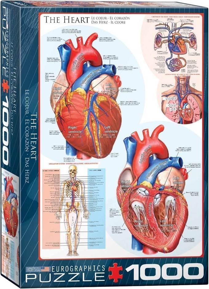 EUROGRAPHICS The Heart 1000-Piece Puzzle