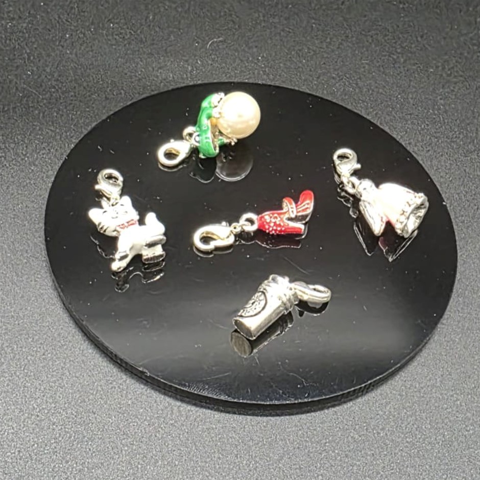 BULK 5 x Charms (coffee, heel, angel, frog, cat)