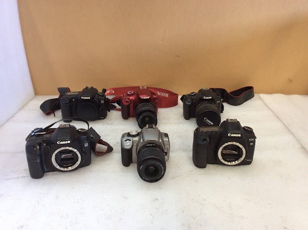 Canon Digital SLR Cameras (Lot of 6)