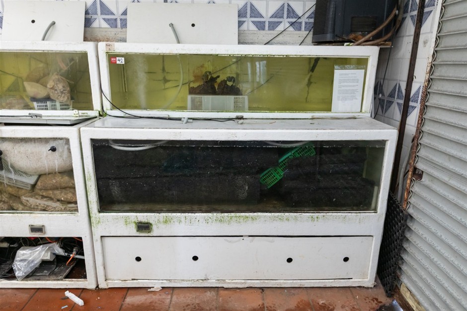 Live Seafood Holding System