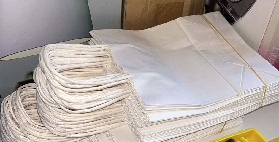 25x White Paper Gift Bags (15x8x21cm)