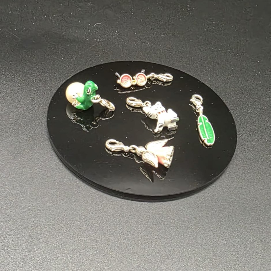 BULK 5 x Charms (angel, frog, cat, sunglasses, leaf)