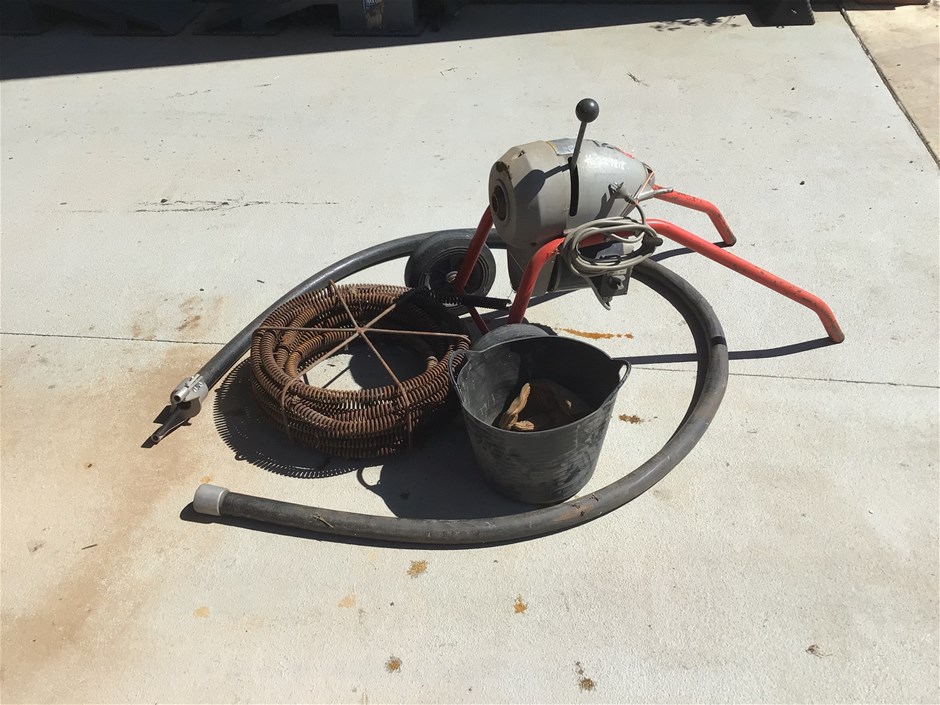 <p>RIGID ELECTRIC EEL</p>