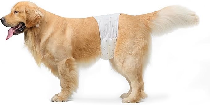AMAZON BASICS Male Dog Wrap Diapers - Pack of 30, Large