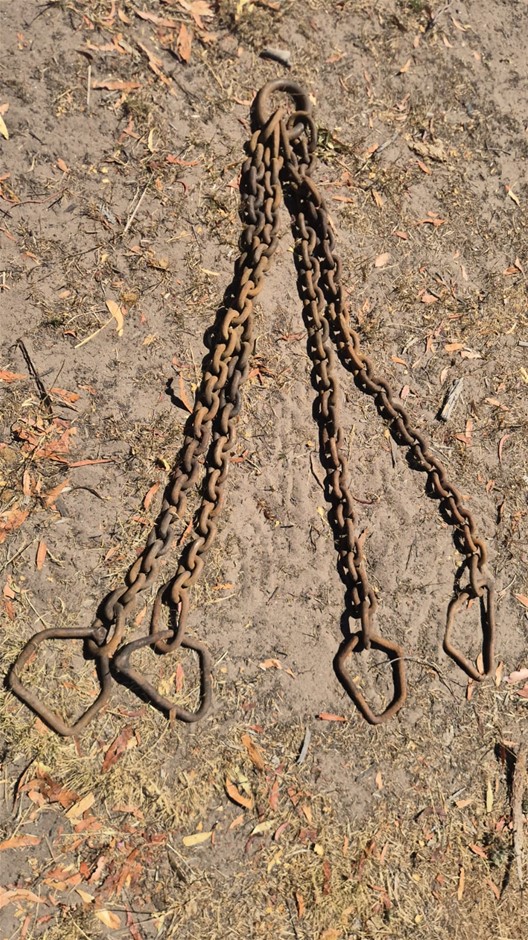 Lifting Chain