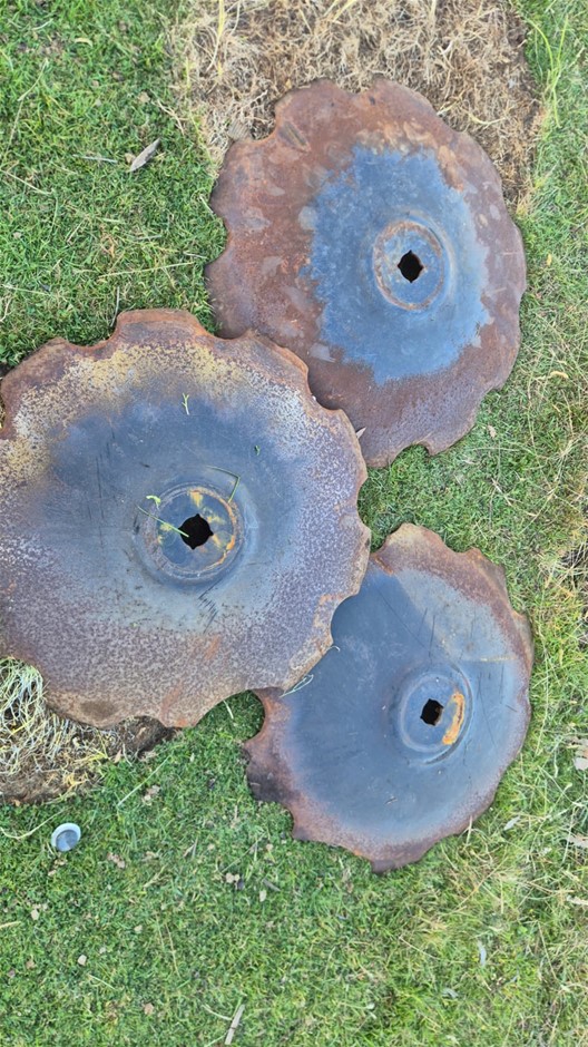 Used Scalloped Disc Plates - 700mm