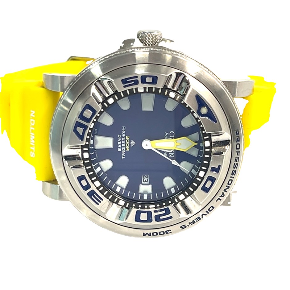 Citizen Eco-Drive Professional Divers Watch