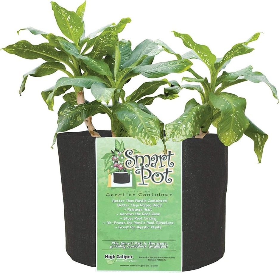 Smart Pot Soft-Sided Aeration Container, Black, 75.7 Liters (50.8cm × 39.4c