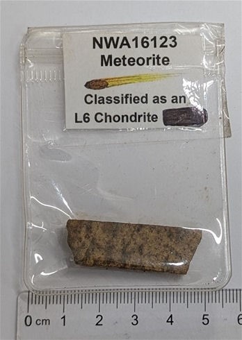 NWA16123 L6 Chondrite Meteorite