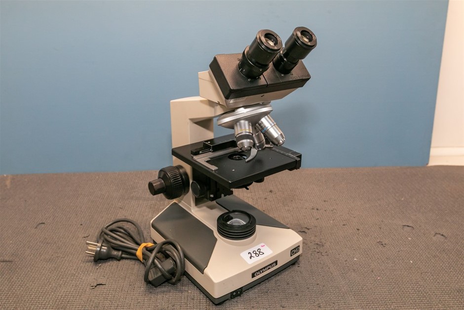 Microscope binocular