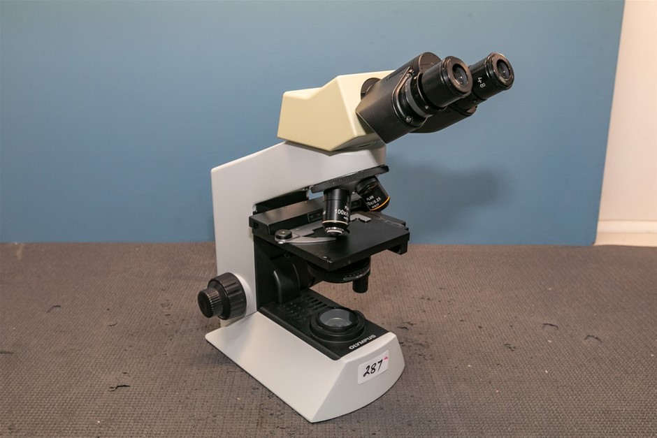 Microscope binocular
