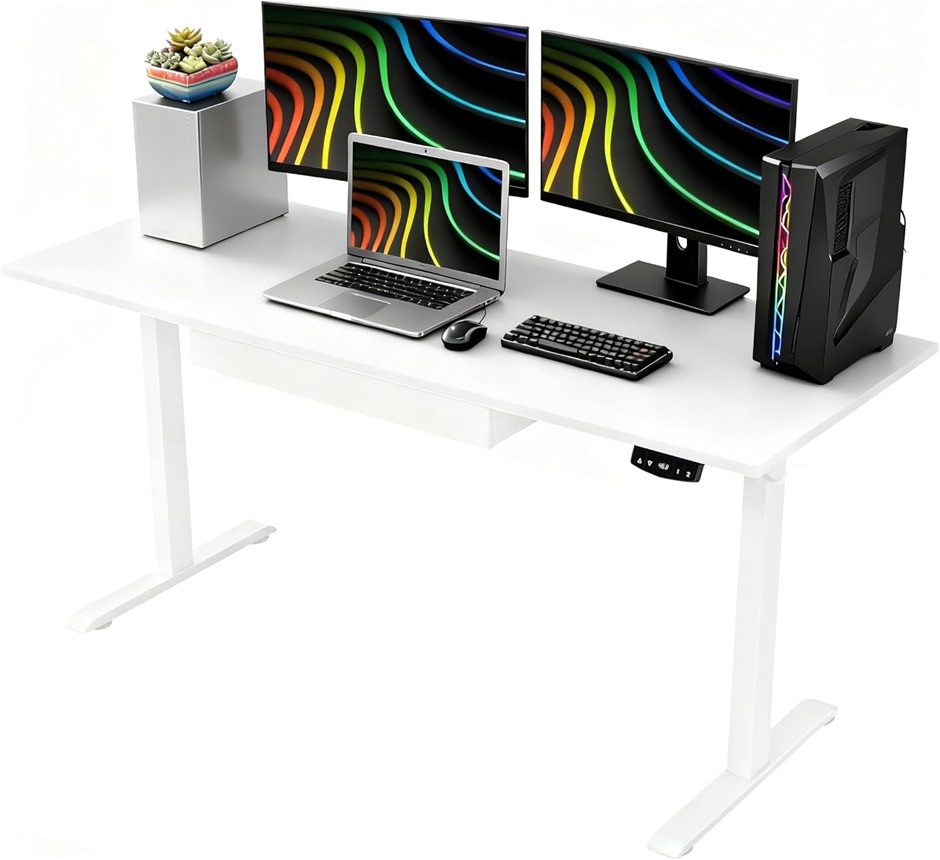 ALUCKKEY Electric Standing Desk, 120 x 60cm Height Adjustable with Built-in
