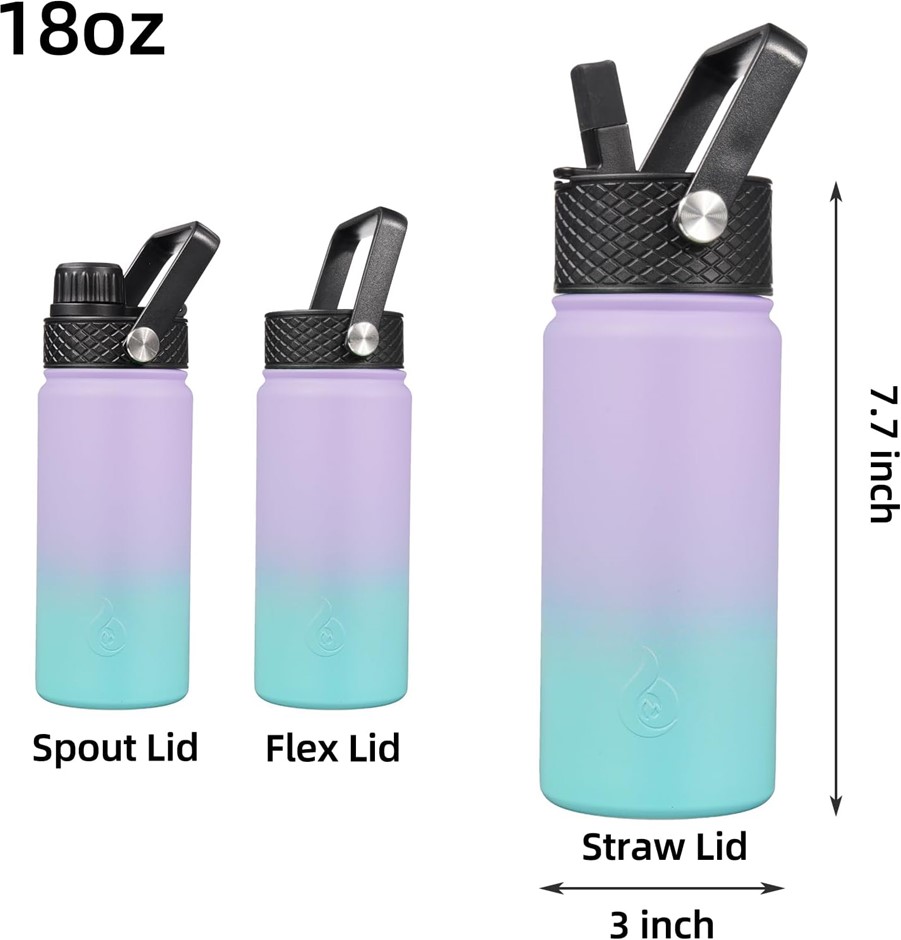 BJPKPK Insulated Water Bottles with Straw Lid, 18oz Stainless Steel, Cold &
