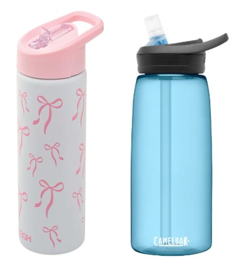 BUNDLE of 2: SMASH Stainless Steel Drink Bottle (Bows, 750ml, Flip Top Lid/