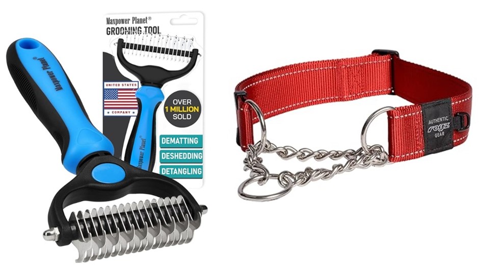 BUNDLE of 2: MAXPOWER PLANET Pet Grooming Brush (Double Sided, Blue) + RORZ