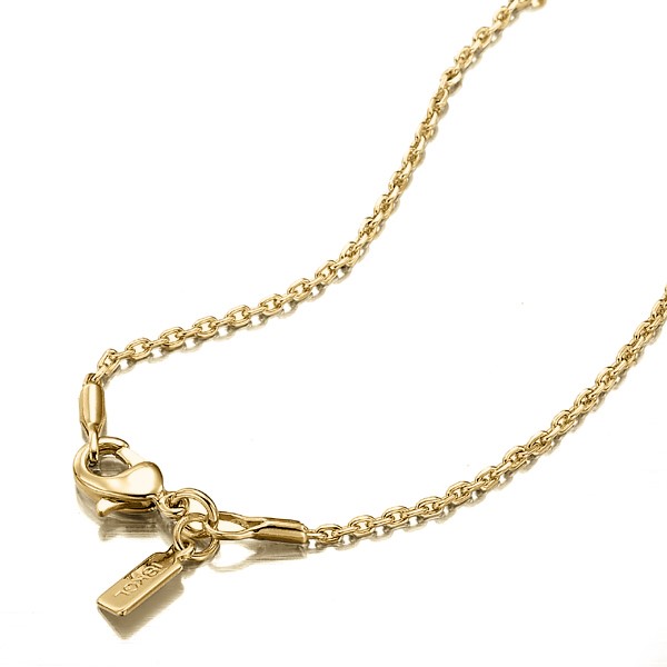 BIJ'OR-20 Inch, 18ct Yellow Gold Plated Anchor Chain Necklace,RRP $79
