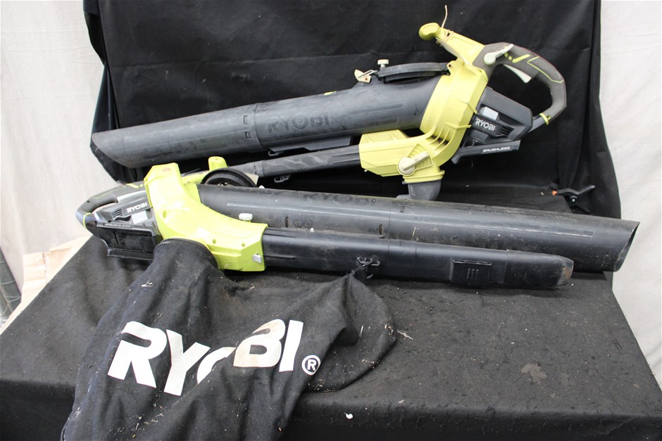 2 x Ryobi Leaf Blowers