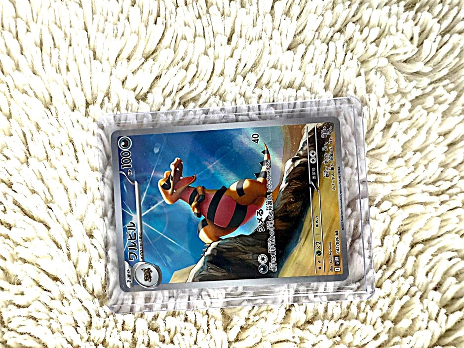 2024 Pokémon Japan Krokorok AR